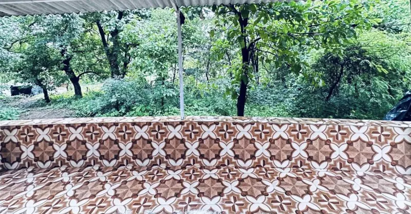 The garden and trees seen from the sit-out at Konkan Central Homestay